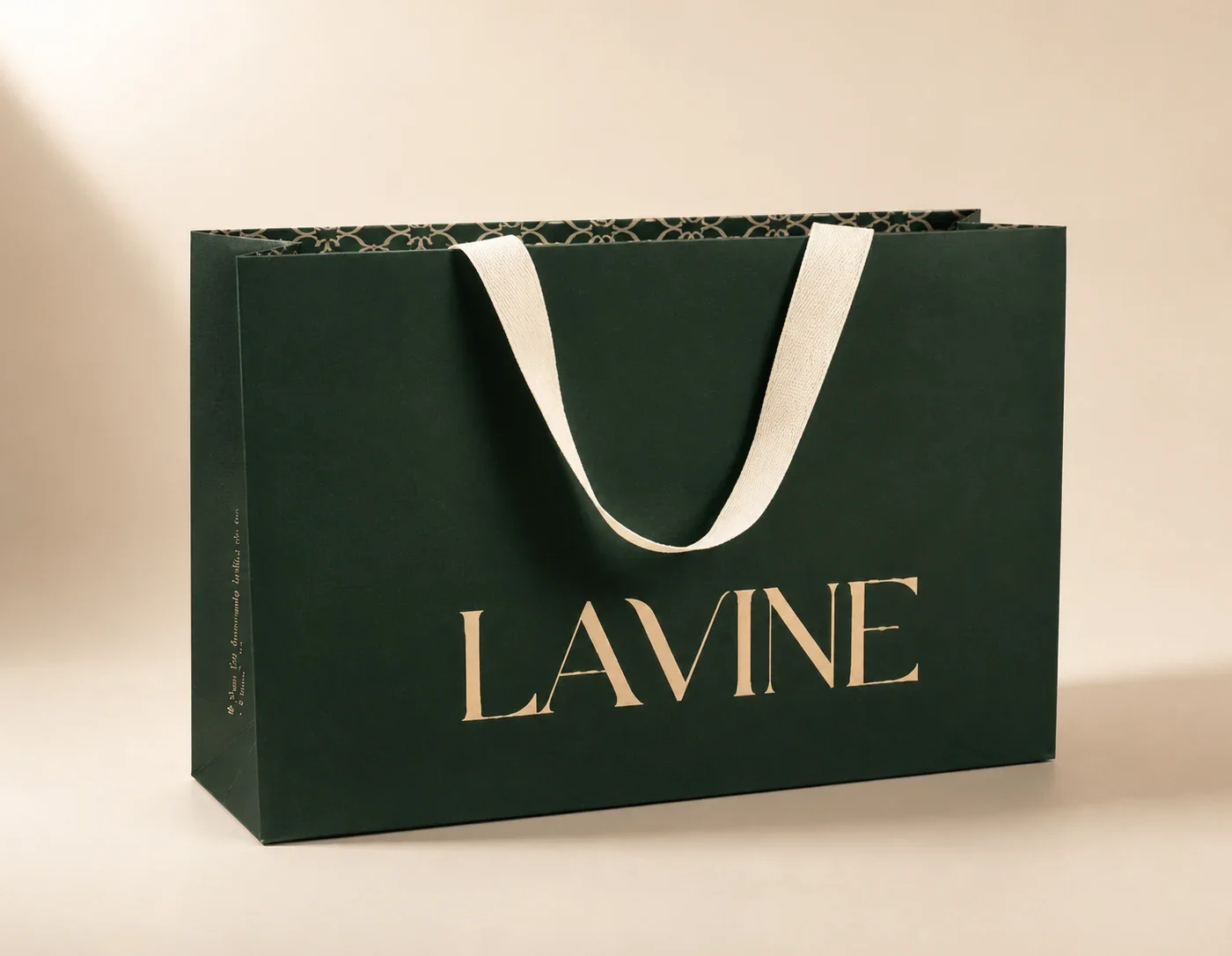 Projeto Lavine