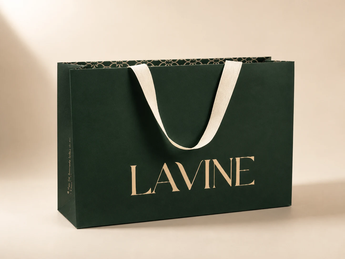 Projeto Lavine